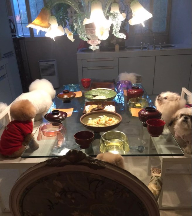 陈文茜相当怀念2016年除夕夜的盛大画面。（图／文茜的世界周报 Sisy's World News脸书）