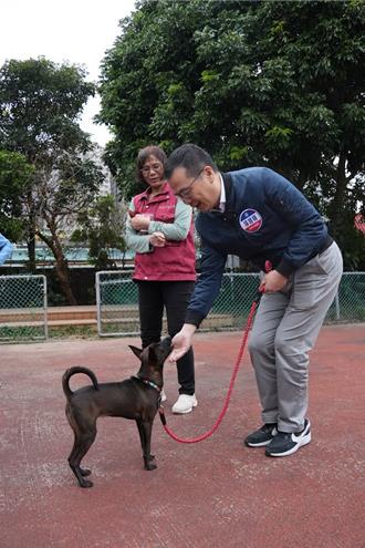 動保案件判刑率低  羅智強促設專職動保警察