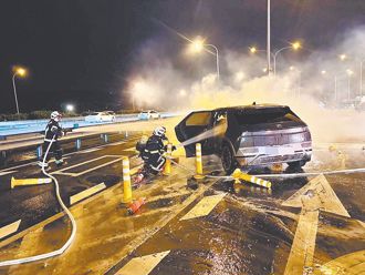 國道電動車自撞4死 家屬「要了解警消作為」惹議 親姊回應了