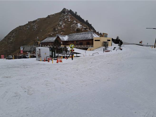 南投县合欢山区31日凌晨陆续下雪霰，山区覆盖一层约1公分新雪。（林保署南投分署提供／杨静茹南投传真）