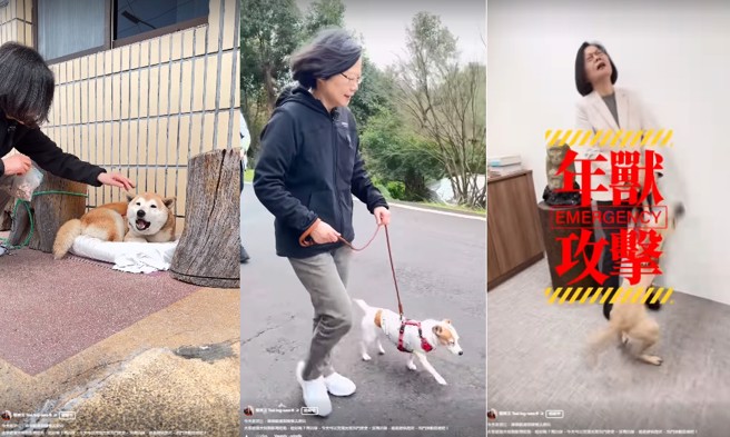 前总统蔡英文今（31日）带着爱犬乐乐、凤梨妹爬山走春。（翻摄自蔡英文脸书）