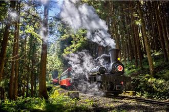 地震搖掉阿里山3萬多名遊客 春節人潮全去了這裡