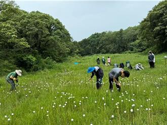 竹北蓮花寺濕地保育評鑑 連續3年獲內政部肯定