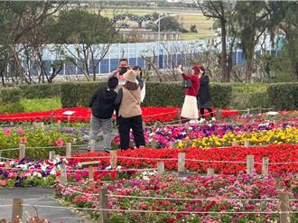花蓮曼波園區百花齊放 賞花兼遊戰備坑道 打造海味小旅行