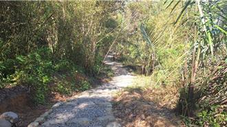 桃園北橫高遶溪古圳步道整修完工 搭配台灣燈會推遊程