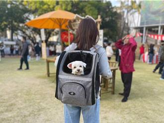 台南古蹟文化園區首度開放寵物入園 春節吸客29萬人次