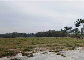 台南沙崙健康園區恐危害草鴞生態 13個NGO團體籲正視問題