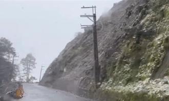 宜蘭山區深夜低溫下探冰點 中橫台7甲線不排除限掛雪鍊