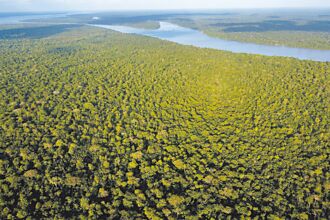 生物经济救亚马逊雨林