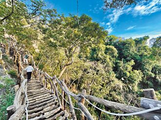 大坑2號彩色步道 徜徉美景