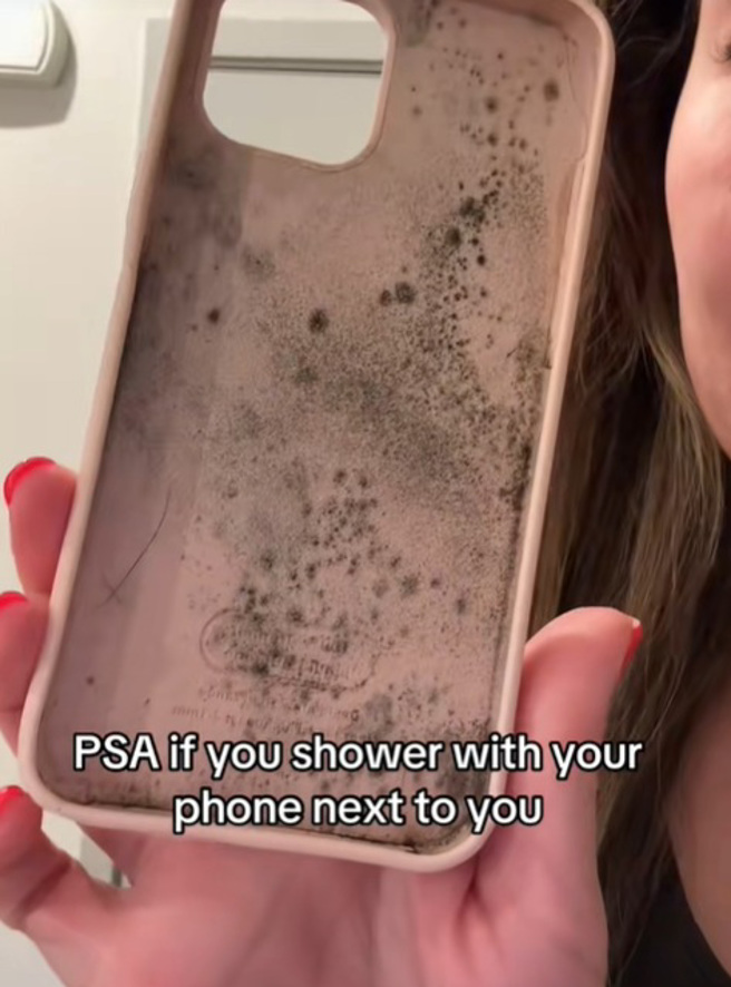 手机壳内长满霉菌。（图／翻摄自「bestfindsbestie」Tik Tok）