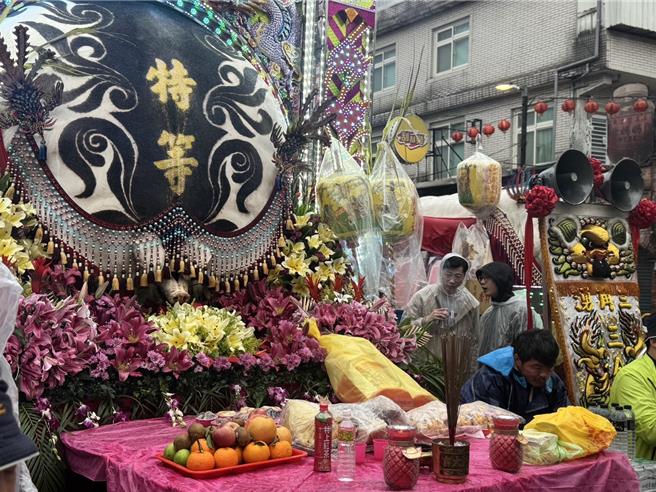 新北市三峡赛神猪祭今年炉主刘铭星养的神猪重达1508台斤，去年为1390台斤。（柯毓庭摄）