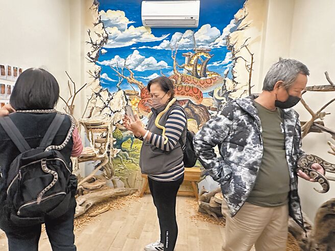 台東友蛇咖啡讓民眾親身體驗被數十條蛇圍繞的感受，黃姓民眾（中）說，摸金蛇，帶來財運，可以去買樂透了。（蔡旻妤攝）