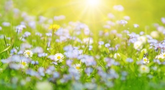 4生肖立春後大發 屬龍貴人提攜 升職又進財