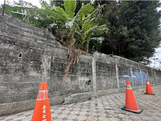 影》年節放炮害慘 台東女中校樹燒焦、圍牆倒塌