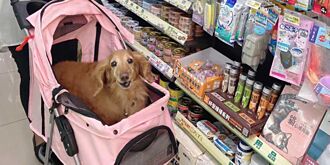 抢宠物商机 超商再扩专区门店