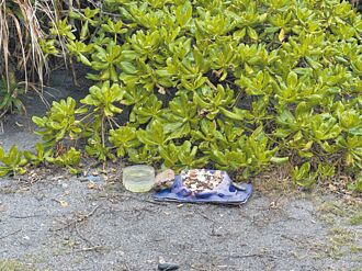 餵七星潭浪犬釀髒亂 可罰6千