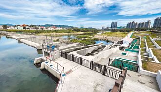 少雨高溫 新店溪香魚較去年少