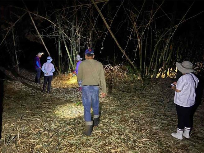 巡守团队夜间在竹林中巡护进行生态观察与栖地环境监测。(林业署嘉义分署提供／吕妍庭嘉义传真)