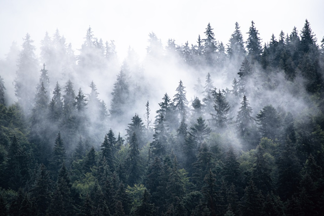 大陸歷史地理教授韓茂莉指出，唐朝和宋朝將有瘴氣的嶺南之地當作流放地。（示意圖：Shutterstock／達志）