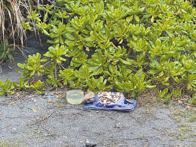 花蓮七星潭風景區是縣內熱門旅遊景點，有民眾在自行車道旁放置食物餵養遊蕩犬隻，不僅破壞環境也可能引發人犬衝突。（羅亦晽攝）