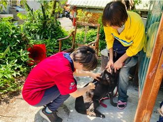 狂犬病疫情北移！違規不打疫苗最高罰15萬