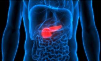 癌王破解！成大、中正联手解胰臟癌恶化关键 助攻新疗法