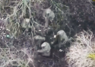 烏克蘭曝北韓兵缺1要件 打仗活像演二戰電影