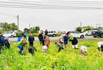 穆斯林兒童嘉義體驗拔蘿蔔 食農教育收穫滿滿