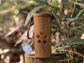 埔里森林逐燈祭8日開幕 來場視覺、聽覺享受的元宵盛會