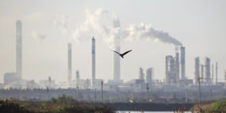 川普點燃雙題材 塑化族群受惠