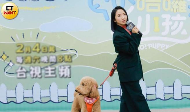 接下新节目《九条好汉在一班》的金钟常胜军陶晶莹，前年以实境秀《哈啰！毛小孩》再度入围金钟。（图／林士杰摄）