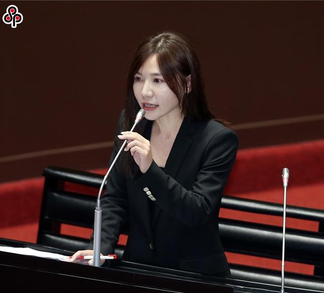 民进党立委、党团干事长吴思瑶表示，针对自己、吴沛忆两人罢免案的发起人都是国民党的党工背景，国民党关心的不是公共利益，遂行的不过是政党利益。（本报资料照片）