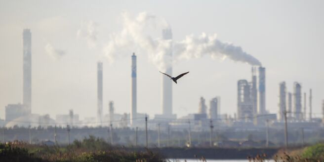 川普政策红利将点燃AI、基建双主题投资，台塑、华夏、联成等塑化、化工利基族群，营运有望受惠。图／本报资料照片