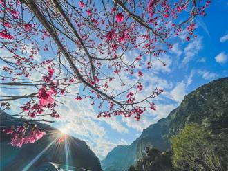 太魯閣晶英攜手花蓮捷絲旅 買一送一暢遊花蓮