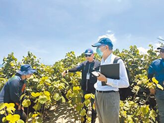 台積電攜手中市府造林 30年可獲1011噸碳權