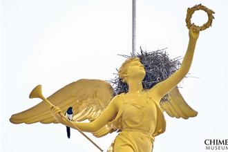 奇美博物館驚喜！榮耀天使上多了「鳥巢」 館方這樣說