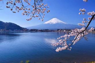 櫻花季！KKday推日韓賞櫻機票6,99元起 多種賞櫻行程享優惠