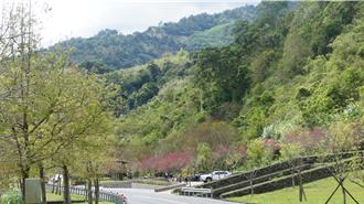 台7櫻緣線、台63中投公路好美！ 獲台灣景觀大獎