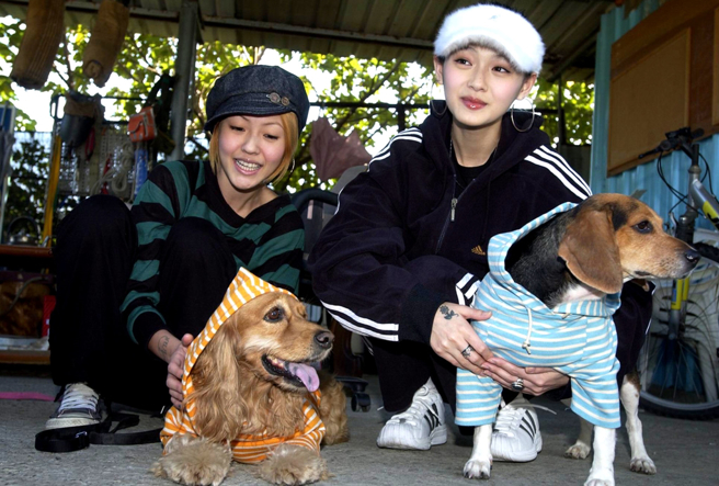 小S、大S是知名的愛狗人士。（圖／中時資料照）