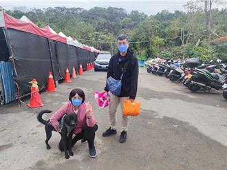 新北動保員創意十足！自製影片幫毛孩找溫暖新家