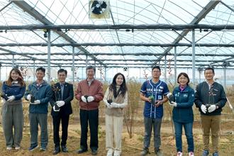 苗栗藍莓產業升級！青農打造智慧溫網 更健康、更美味