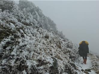 玉山-3.1°C冰封！主峰步道結厚冰 山友寒冬挑戰登頂