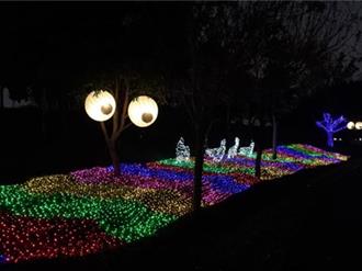 中台灣燈會藏驚喜！章魚不見了？情境遊戲邀民眾互動