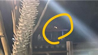 新營波光節開幕發生小插曲　疑煙火落焰涼亭差點燒起來