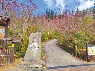 台南 地震嚇跑梅嶺遊客 訂桌掉一半