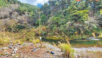 雪霸猛禽棲架 記錄黃魚鴞打獵