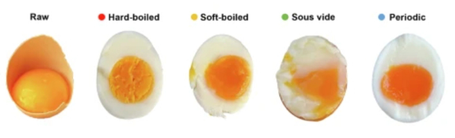 义大利科学家研究完美水煮蛋的煮法，蛋黄细致柔滑、蛋白成形但柔软。（翻摄期刊《通讯工程》）