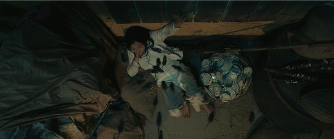 《鬼貓》尺度太大嚇壞資深越南女星。（車庫娛樂提供）