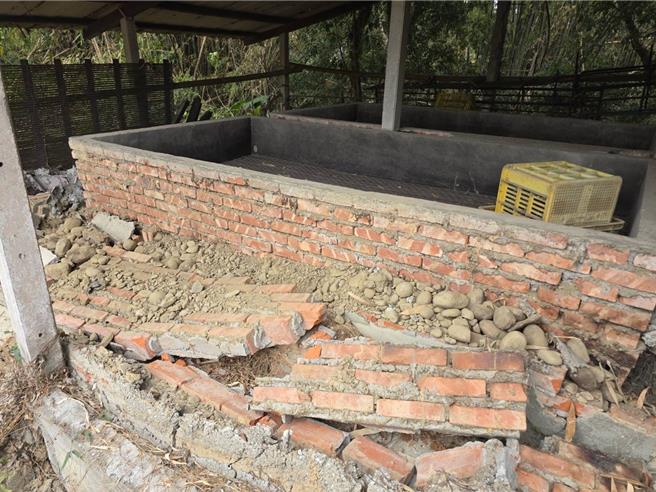 台南市东山区是国内产制龙眼乾的重要产区，受近期地震影响，超过1000处龙眼烘焙窑被「震损」。（立委陈亭妃服务处提供／张毓翎台南传真）